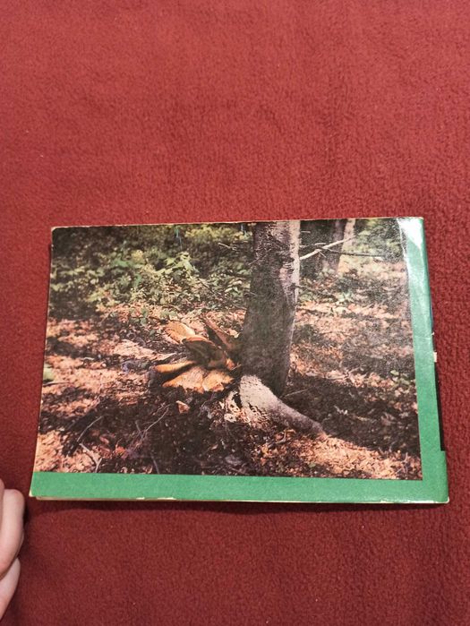 "Informator o rezerwatach i pomnikach przyrody".