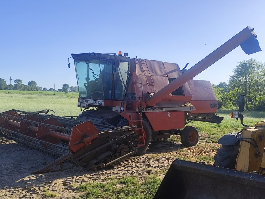 Kombajn Massey Ferguson 31