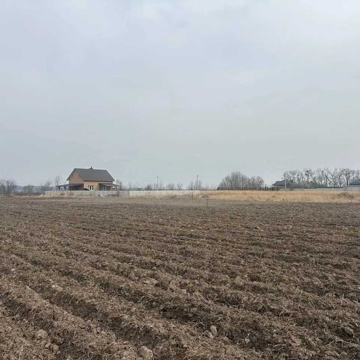 Лісові Гринівці земельна ділянка