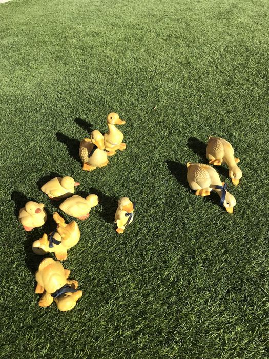 Comjunto de patos decorativos