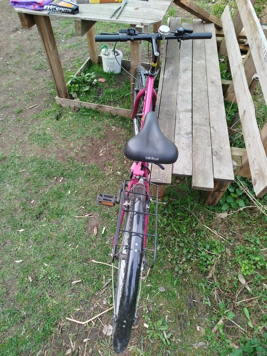 Rower damka górski 26"