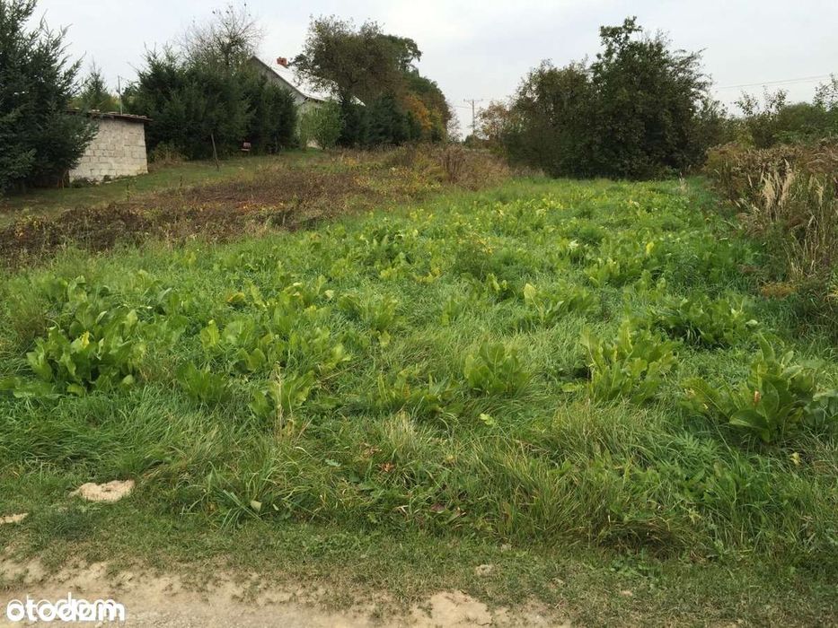 Działka 7.5a /Budowlano-uslugowa MN/U, ul Zefirowa Kraków