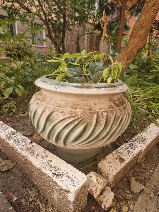 Вазон великий порцеляна чи глина мальована з саджанцем калини або без