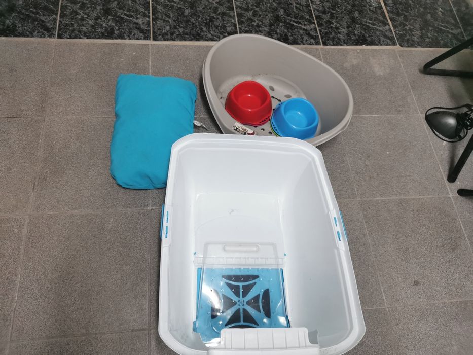 Utensílios para animais