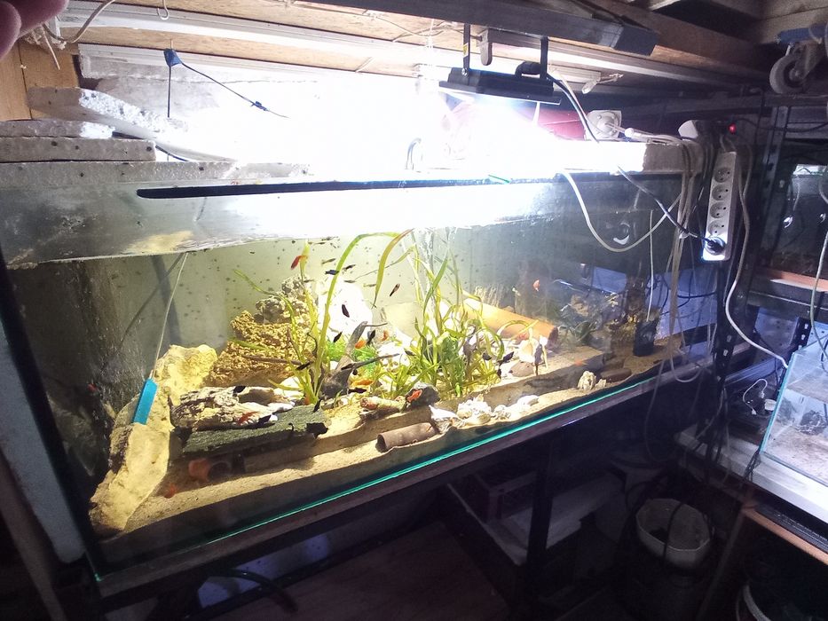Akwarium 720 l filtr napwwietrzacz i falownik 2*
