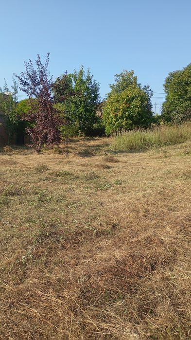 Limpeza de terreno