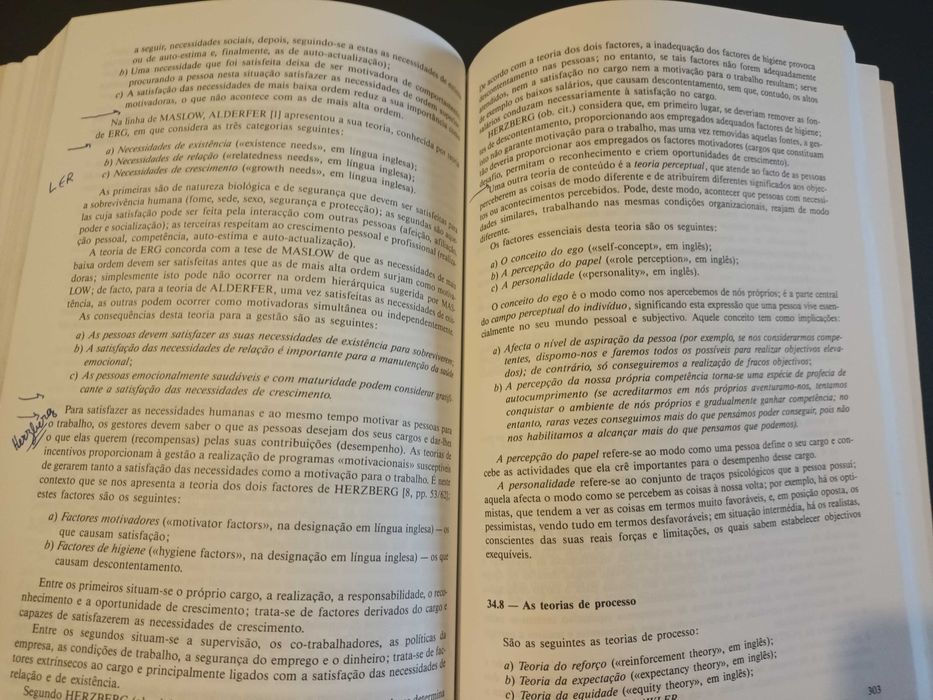 "Introdução à Gestão" por Mário António Soares Madureira - 1ª Edição