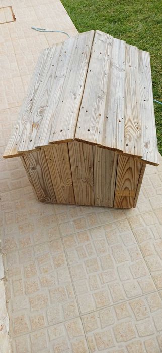 Casota cachoro medio porte