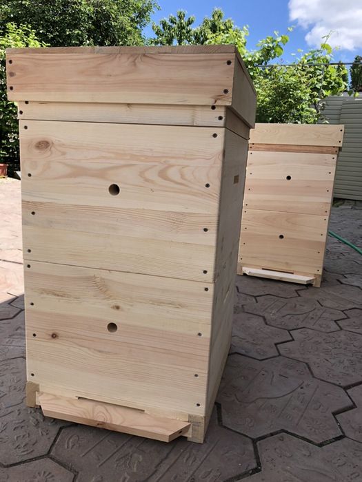 Вулики Дадан 10 рамковий