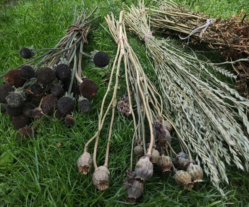 Suszone rośliny naturalne eco Boho