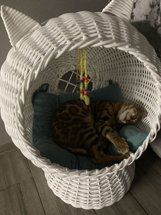 Лежанка, домик для котов