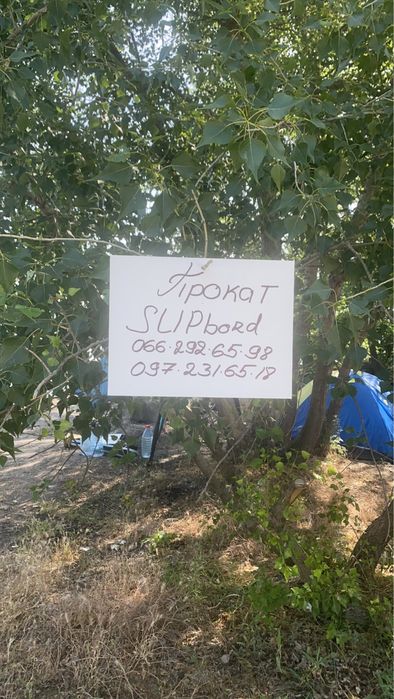 Прокат SUPbord + винсёрфинг