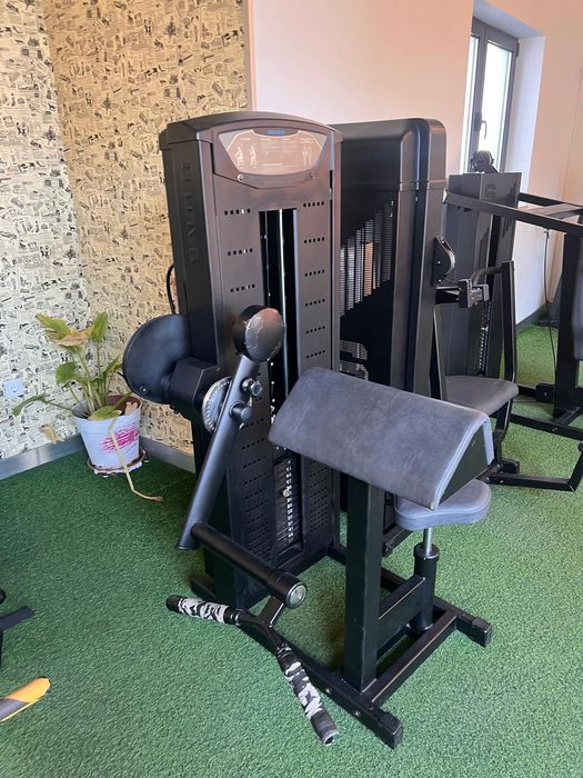 Bibipite scoot - Salter