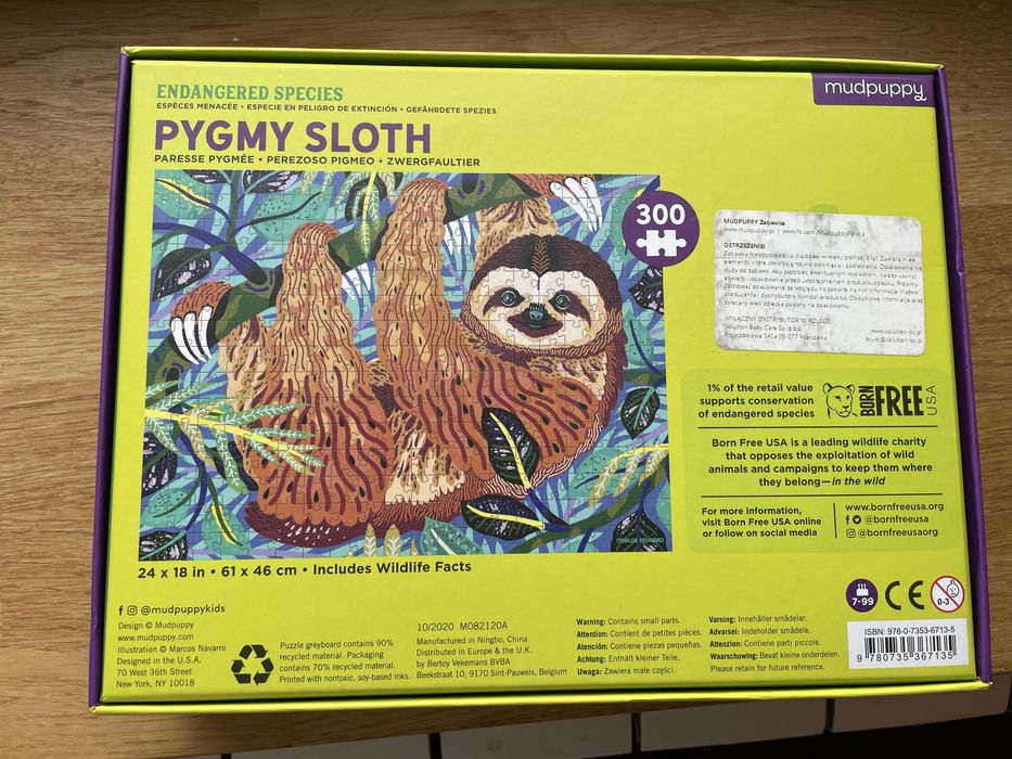 Puzzle pygmy sloth