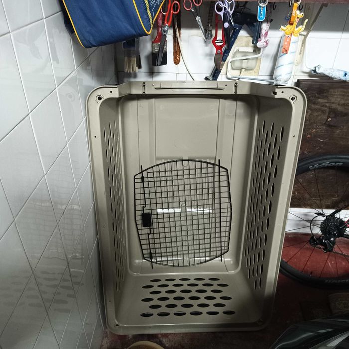 Transportadora animais