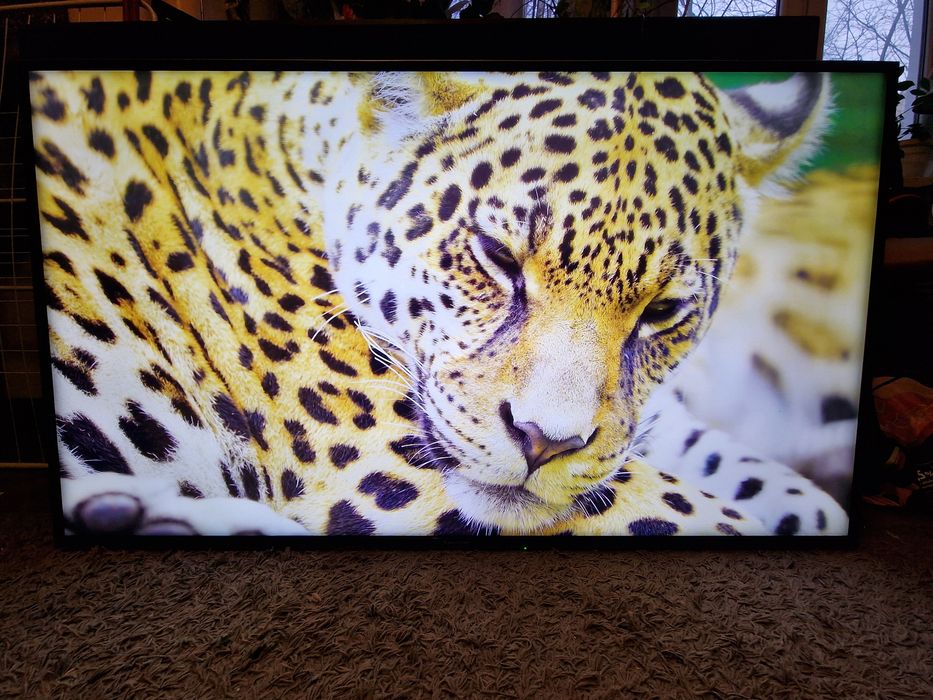 Tv Panasonic 55" 4K SMART WiFi DVBT-2 Hevc UHD HDR telewizor LED