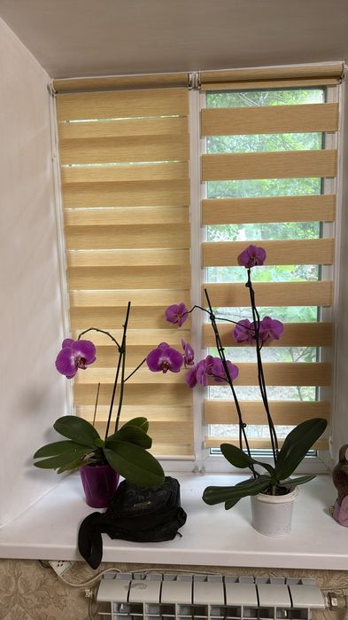 Тканеві ролети-рулонні + день ніч ролети в наявності під замовлення!