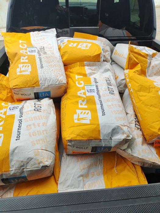 Насіння соняшника RAGT RGT WOLLF (РЖТ Волльф) Класичний Екстра плюс