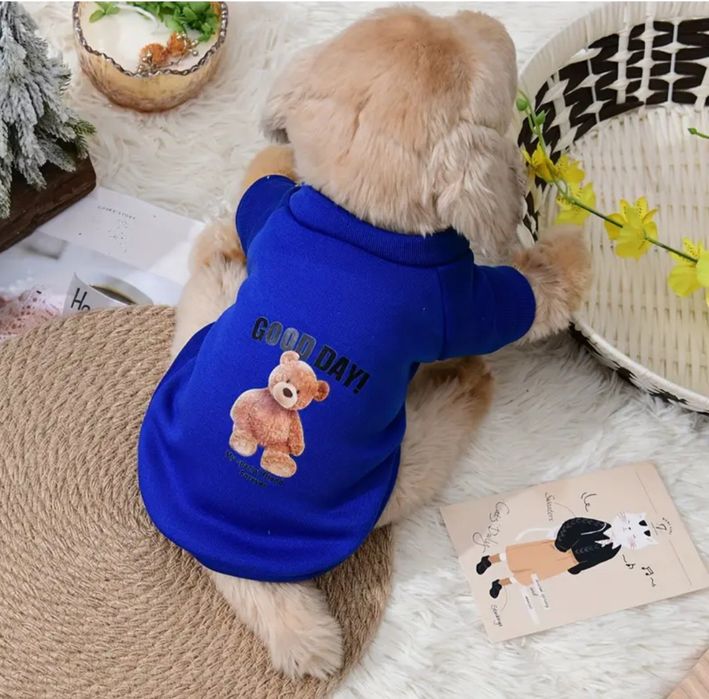 Одяг для котів та собак