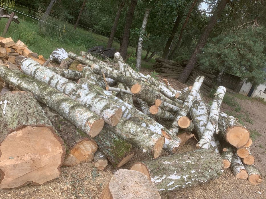 Brzoza do kominka/pieca