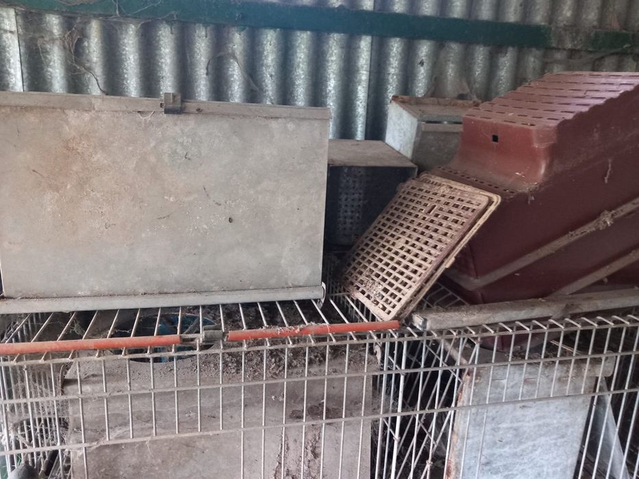 Jaula para coelhos