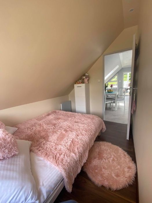 SOWIA RZECZKA APARTAMENT, Góry Sowie, noclegi, Domek w górach, Rzeczka