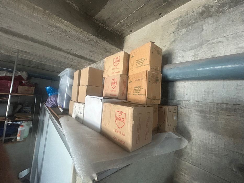 Copos Sagres e Heineken