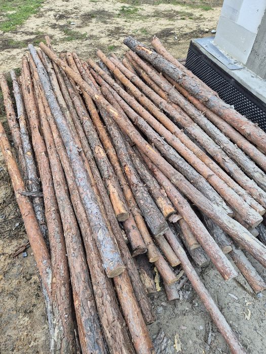 Stemple sosnowe/budowlane