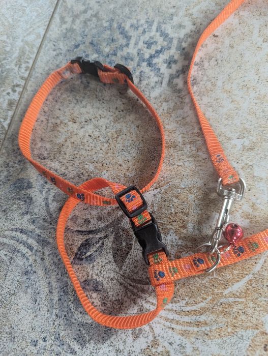 Smycz dla kotka 85 cm, Hilton