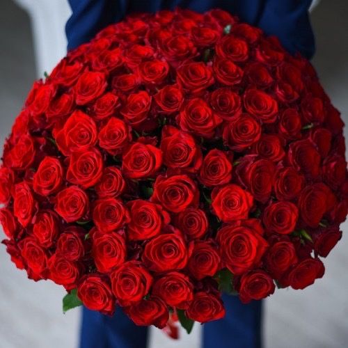 Продам цветы , роза !!!