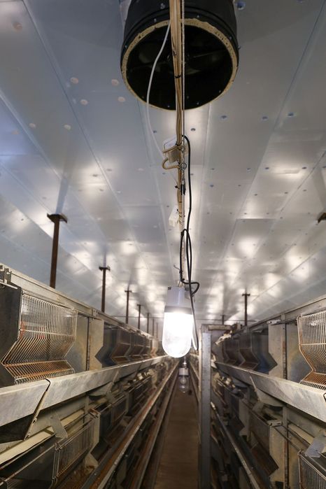 Błękitne Płyty Panele Thermo Izolacyjne XPS AGRO Zmywalna Podsufitka do Tuczarni Chlewni Obory Kurnika Drób Brojlery Nioski
