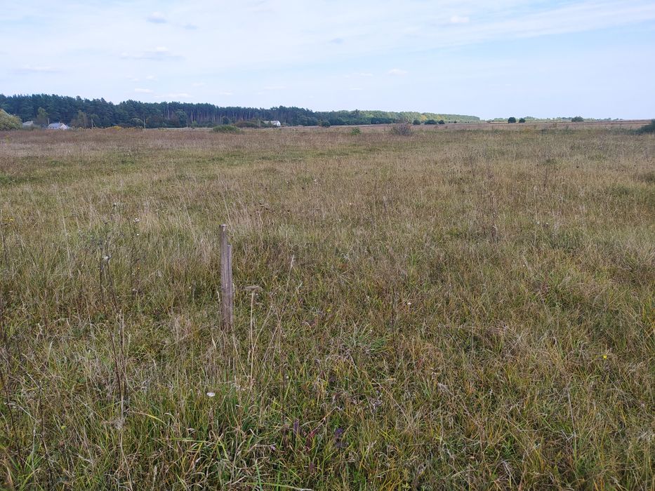 Участок село Забороль