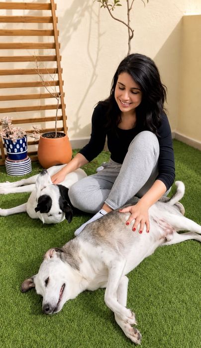Passeios e Pet Sitting - Areeiro, Arroios, Anjos