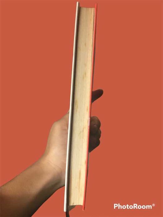 livro "Um Coração Selvagem", de Barry Gifford - Romance