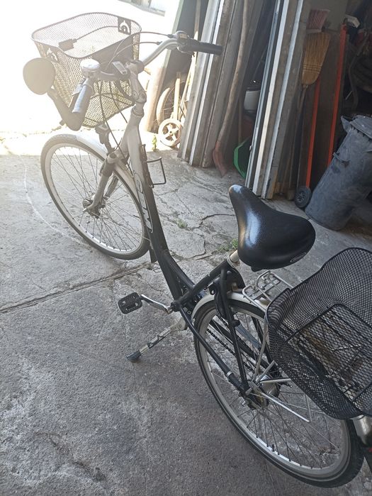 Rower damski herkules