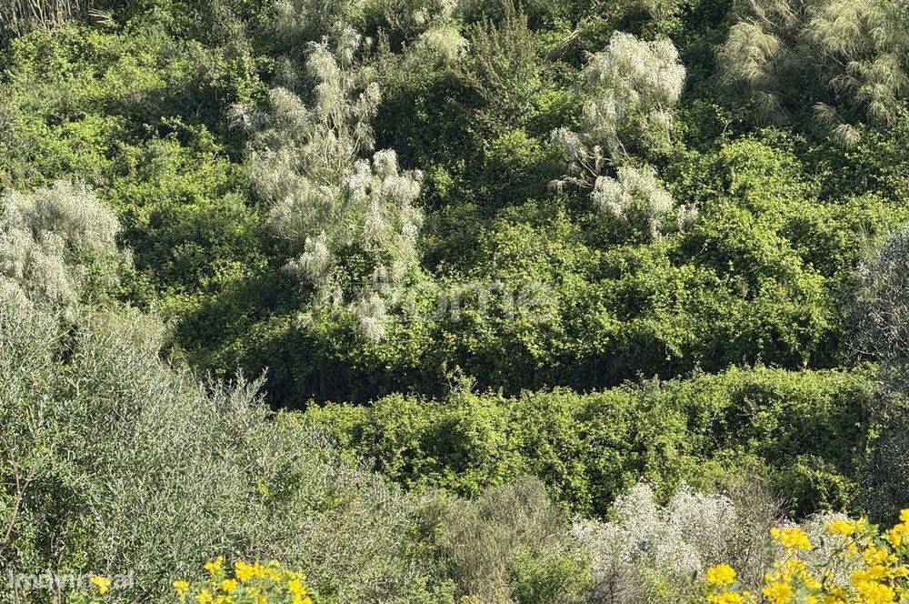 Terreno rústico com parcela urbana à beira da A8