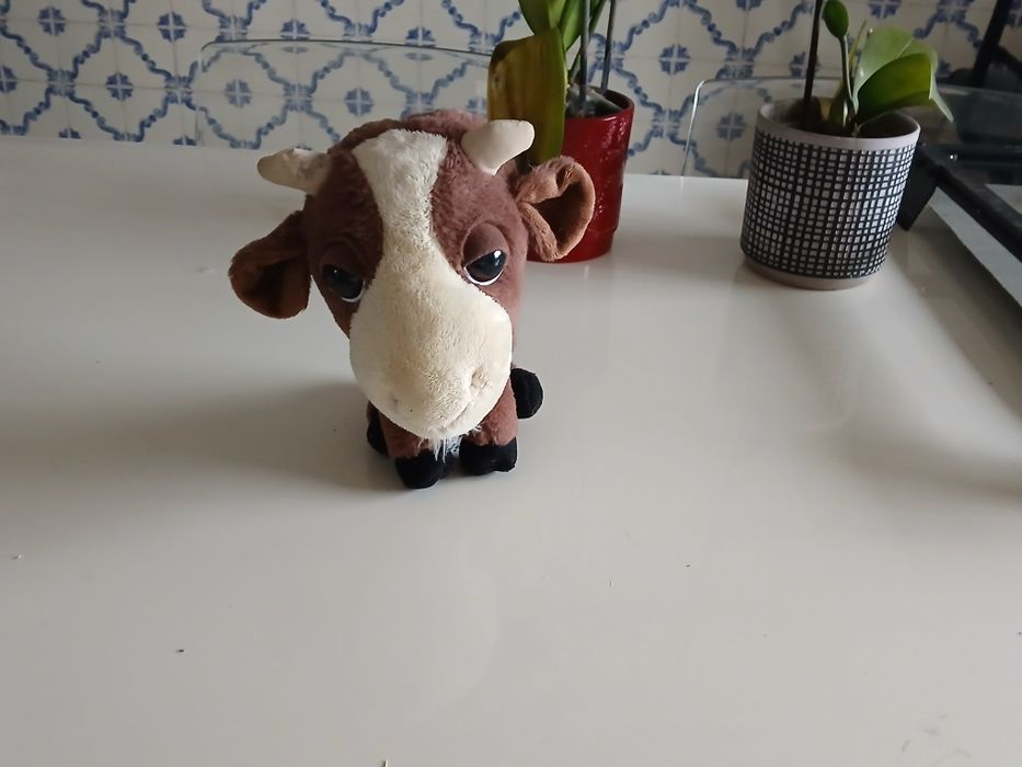 Coleção animais da quinta