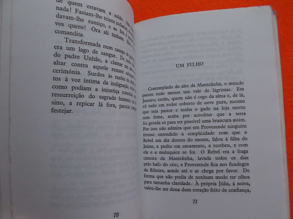 Contos da Montanha  - Miguel Torga