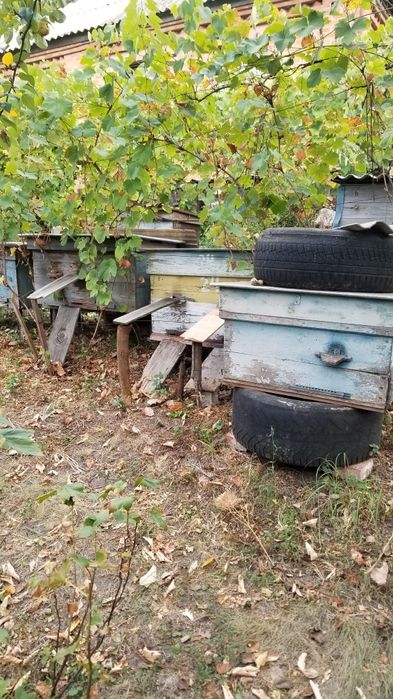 Продам вулики-лежаки 20-22рамочні.