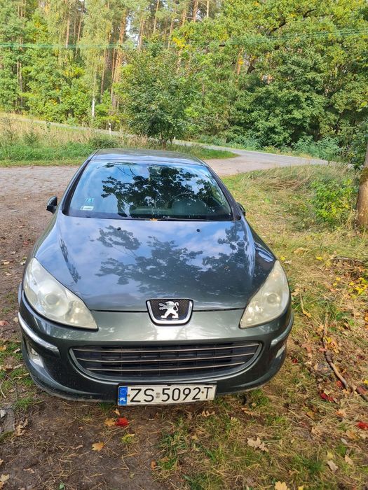 Peugeot 407