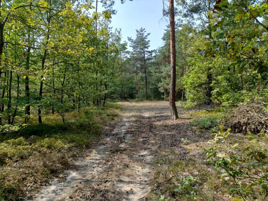 Piękna działka leśno rekreacyjna