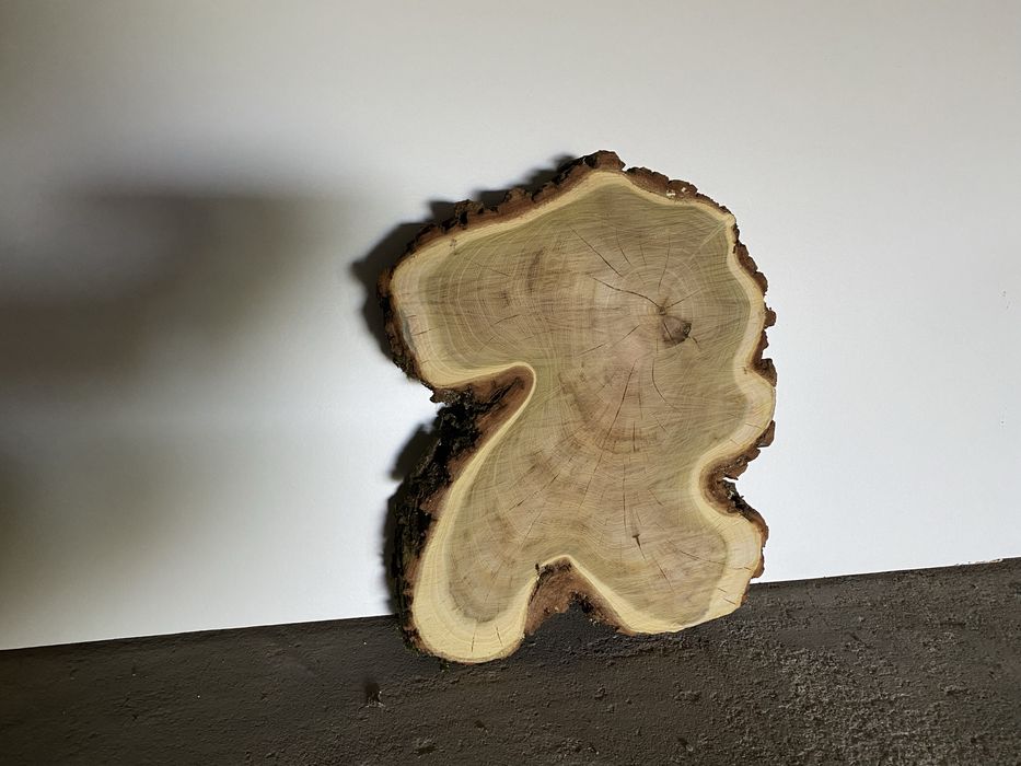 wyjątkowy krążek ozdobny akacjowy