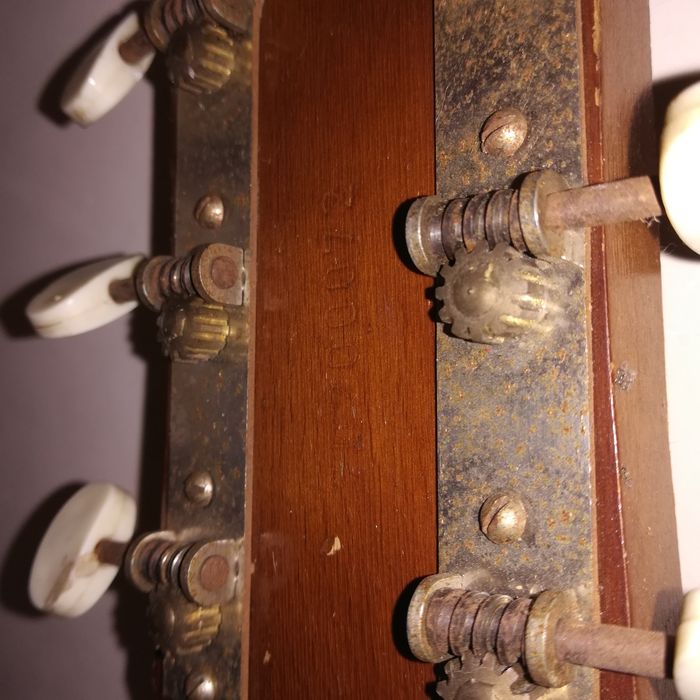 Gitara parlor  Egmont