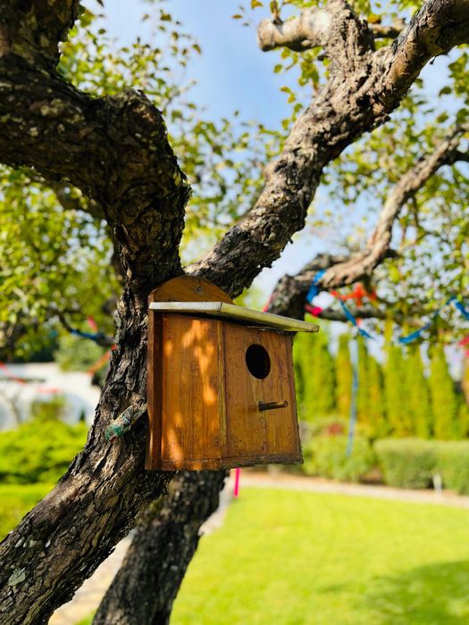 Espaço para Eventos (até 50 pessoas | Mar. a Out.) > Azeitão / Arrábi