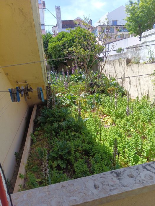 T3 para remodelação.