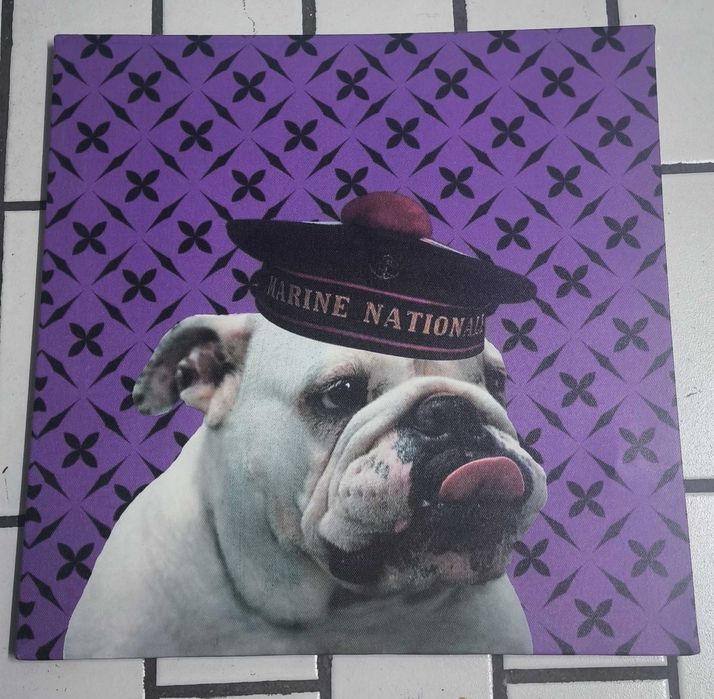 Quadro de parede - Cão
