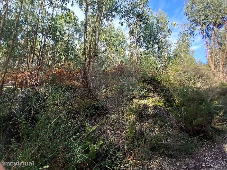 Terreno  para venda