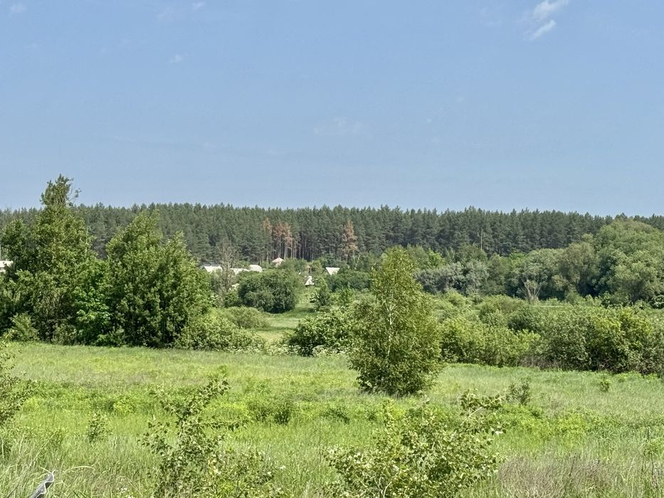 Продам 82сотки землі !!!  с.Мироцьке