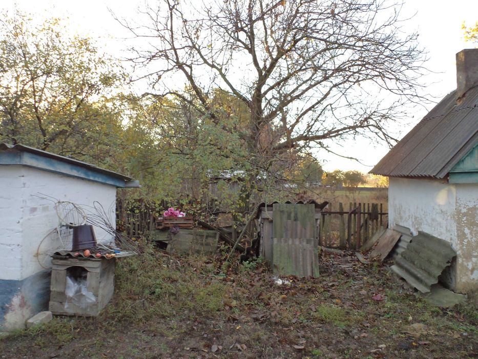 Продам дом в Магдалиновский район с. Топчино