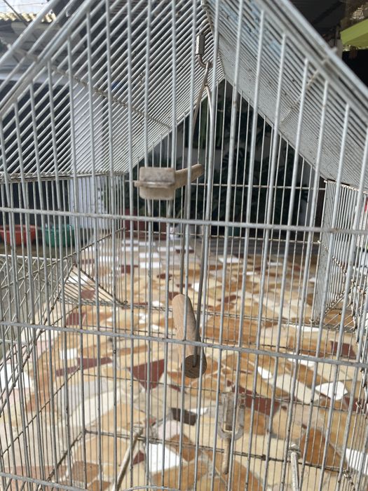 Gaiolas de pássaros